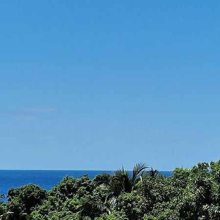 Joli T2 En Bas De Villa Vue Jardin Et Mer Vieux-Habitants Exterior foto